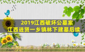 2019江西破坏公墓案 江西进贤一乡镇林下建墓后续